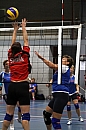 IMG_8388.jpg