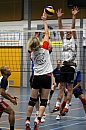 IMG_8398.jpg