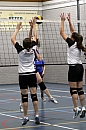 IMG_8407.jpg