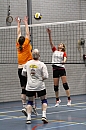 IMG_8413.jpg