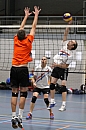 IMG_8420.jpg