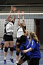 IMG_8424.jpg