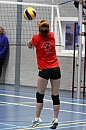 IMG_8433.jpg