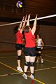 IMG_8931