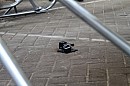 IMG_1339.jpg