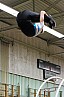 IMG_6260.jpg